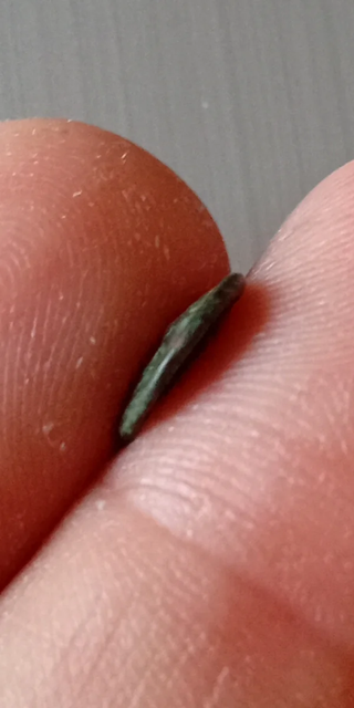 ≡ Bonita moneda griega con Caballo pastando