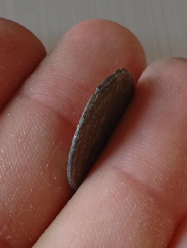 ≡ Moneda antigua Romana Antoniniano 22mm