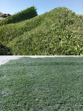 Venta de césped artificial