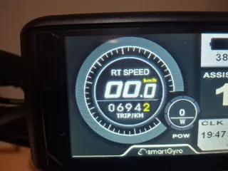 Patinete SmartGyro Raptor Color Army 694 km