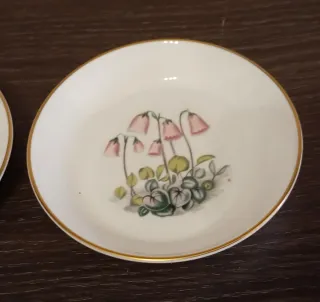 Set di 2 Piatti in Porcellana Fine Royal Worcester