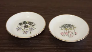 Set di 2 Piatti in Porcellana Fine Royal Worcester