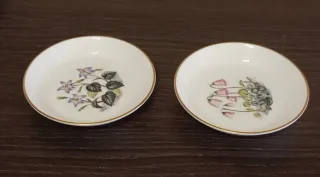 Set di 2 Piatti in Porcellana Fine Royal Worcester
