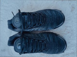 Nike Air Max TN Plus Taglia 43