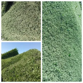 Venta de césped artificial