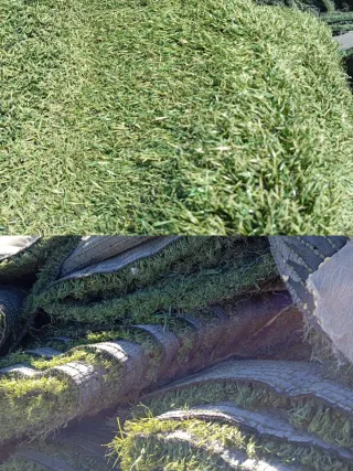 Venta de césped artificial