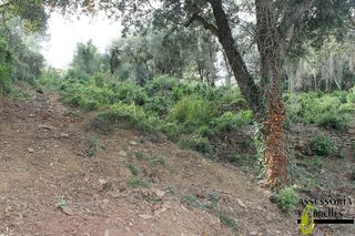 Terreno en venta en Torrelles de Llobregat