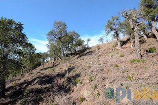 Terreno en venta en Mas Pere-Río de Oro en Calonge