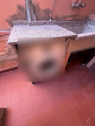 Chalet en alquiler en Náquera