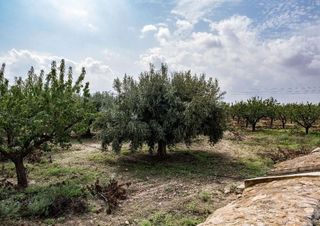 Chalet en venta en Fuente Alamo