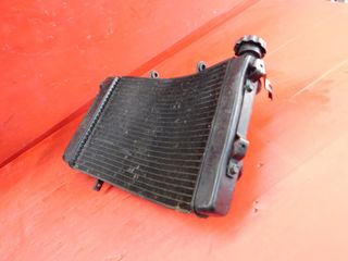 RADIATORE ACQUA TRIUMPH STREET TRIPLE 675