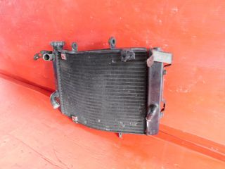 RADIATORE ACQUA TRIUMPH STREET TRIPLE 675