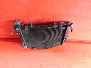 RADIATORE ACQUA TRIUMPH STREET TRIPLE 675