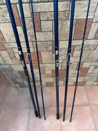 Canne da pesca Daiwa Prime Caster S33-425