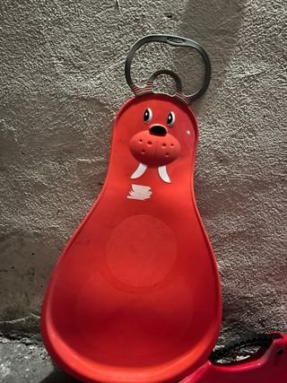 Trineos para nieve con frenos