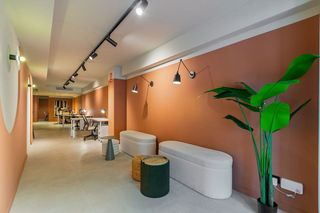 Local comercial en alquiler en El Camp d'en Grassot i Gràcia Nova en Barcelona