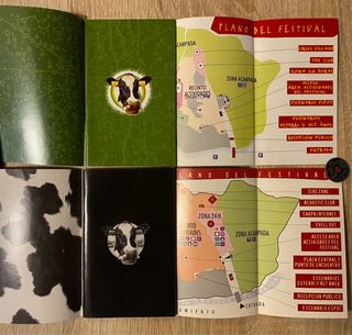 Colección + 30 Entradas de Festivales Rock/Elect