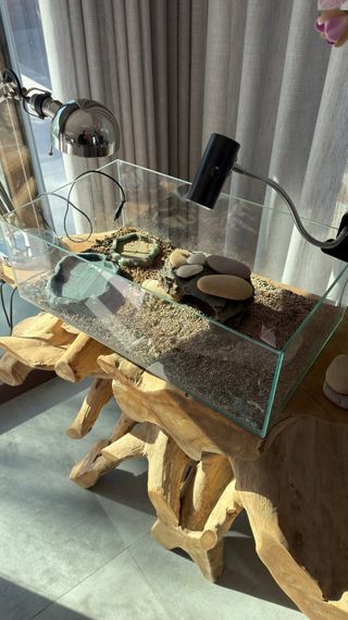 Terrario Reptiles/Tortuga