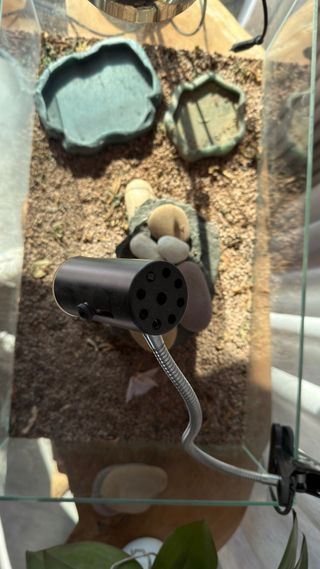 Terrario Reptiles/Tortuga