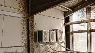 Mantenimiento/Reparaciones y montaje A/A