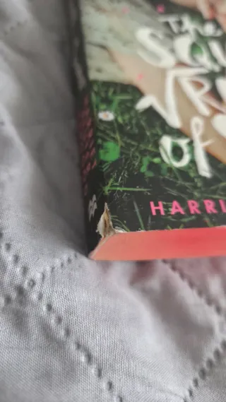 The Square Root of Summer Harriet Reuter Hapgood