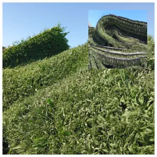 Venta de césped artificial