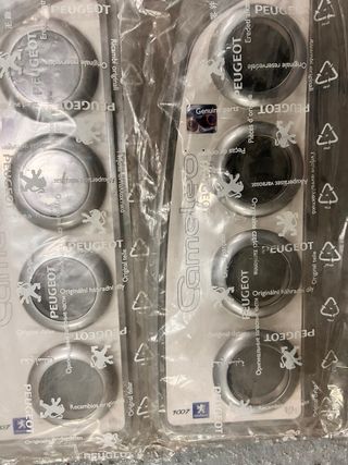 Peugeot 1007 Cameleo Biduletruc