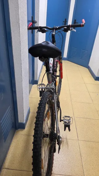 Bicicleta Trek Talla 17.5