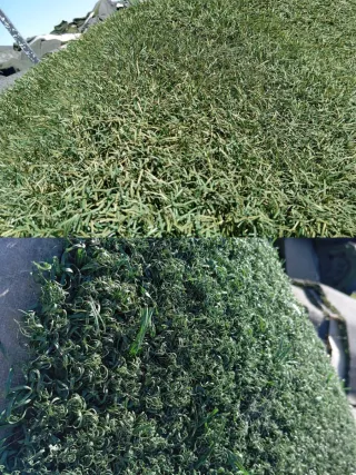 Césped artificial venta