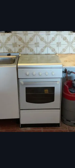 Vitrocerámica y horno de gas butano