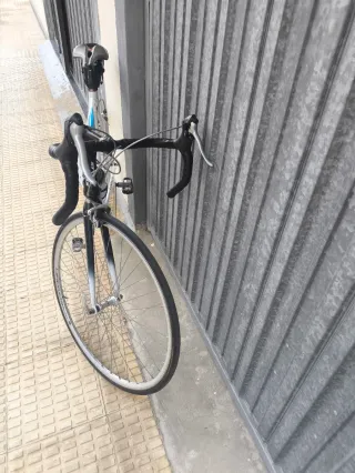 Bicicleta Zeus Carretera