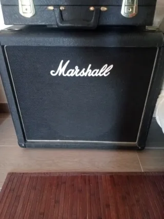 Lote o por separado,Amp. Marshall,peavy,line6,caja