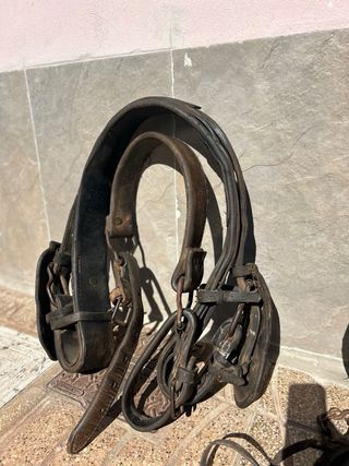 Atalaje valenciano Caballo Cuero