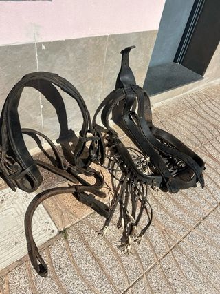 Atalaje valenciano Caballo Cuero