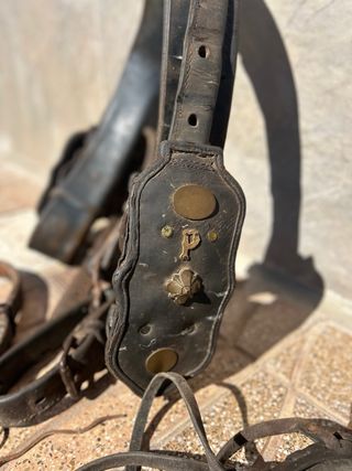 Atalaje valenciano Caballo Cuero