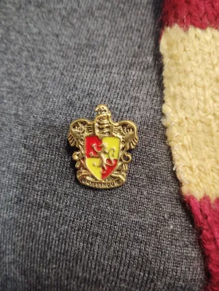 Disfraz Harry Potter