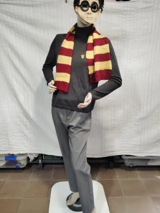 Disfraz Harry Potter