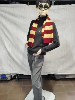 Disfraz Harry Potter
