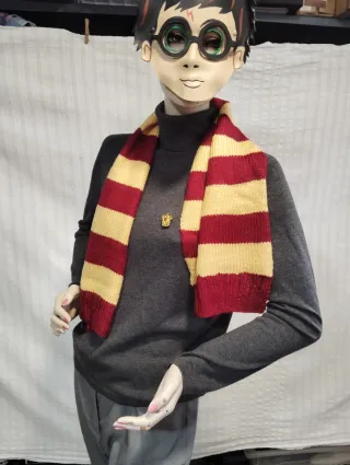 Disfraz Harry Potter