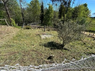 Desbroces fincas en ponteareas y alrededores