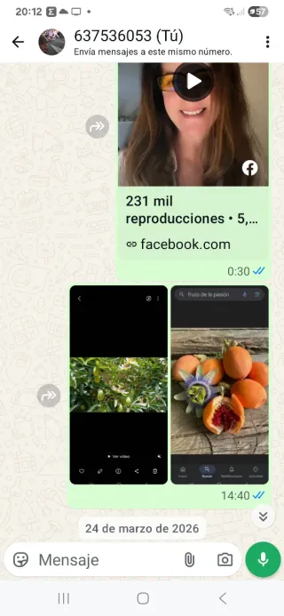 Plantas fresas 6 euros 10 .