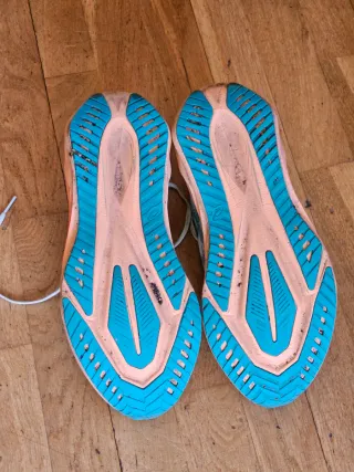 Asics Novablast 5 (700km)