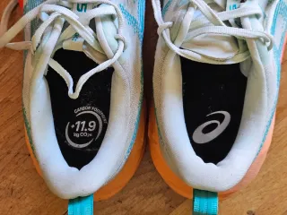 Asics Novablast 5 (700km)