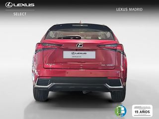 Lexus NX 2.5 300h Business Navigation 2WD