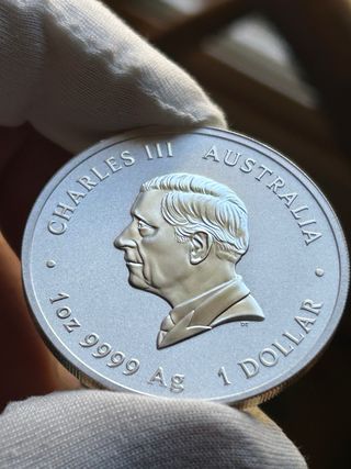 Onza Plata Columnario 2025