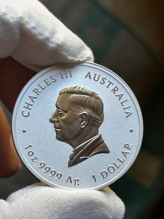 Onza Plata Columnario 2025