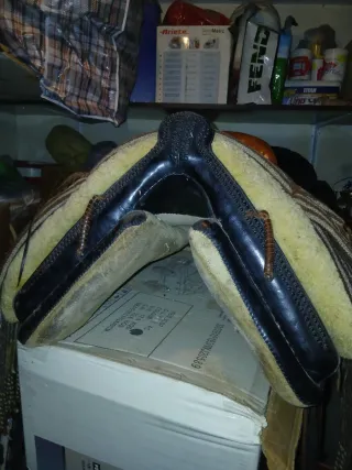 Attrezzatura per cavallo