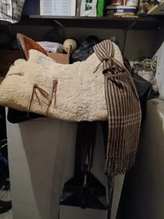 Attrezzatura per cavallo