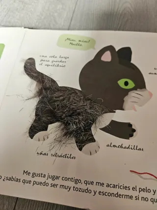 Lote cuentos infantiles