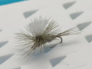 Set Moscas Secas Pesca SIN MUERTE